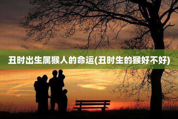 丑时出生属猴人的命运(丑时生的猴好不好)