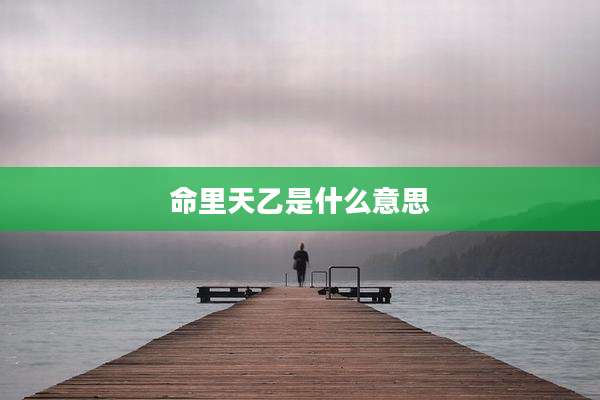 命里天乙是什么意思