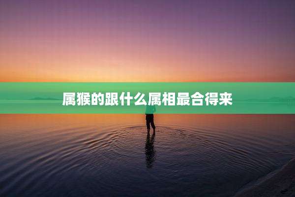 属猴的跟什么属相最合得来