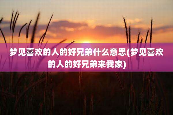 梦见喜欢的人的好兄弟什么意思(梦见喜欢的人的好兄弟来我家)