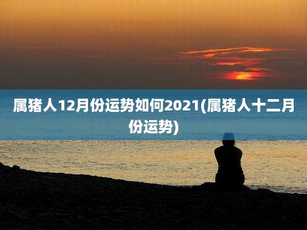 属猪人12月份运势如何2021(属猪人十二月份运势)
