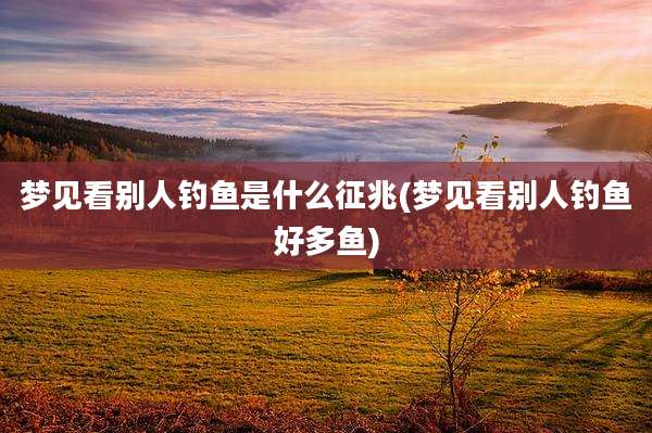 梦见看别人钓鱼是什么征兆(梦见看别人钓鱼好多鱼)