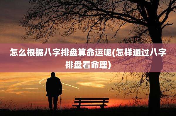怎么根据八字排盘算命运呢(怎样通过八字排盘看命理)