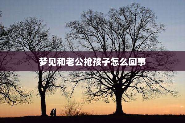 梦见和老公抢孩子怎么回事
