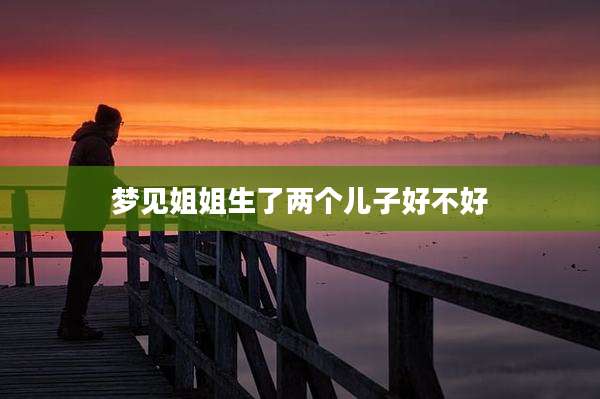 梦见姐姐生了两个儿子好不好