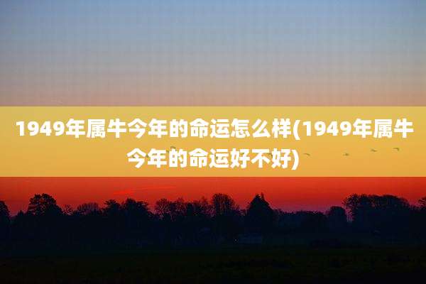 1949年属牛今年的命运怎么样(1949年属牛今年的命运好不好)