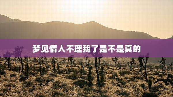 梦见情人不理我了是不是真的