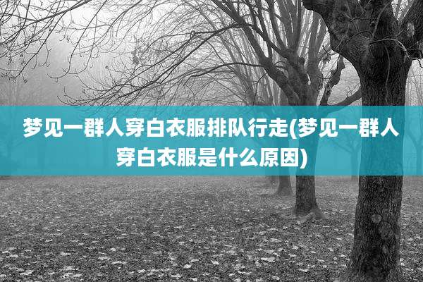梦见一群人穿白衣服排队行走(梦见一群人穿白衣服是什么原因)