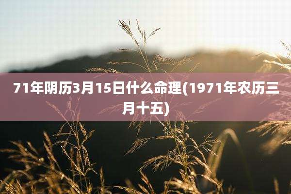 71年阴历3月15日什么命理(1971年农历三月十五)
