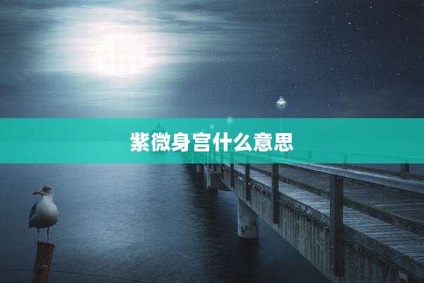 紫微身宫什么意思