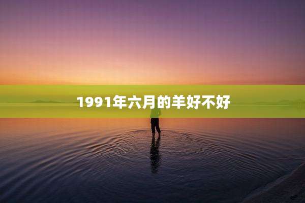 1991年六月的羊好不好