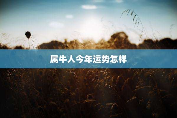 属牛人今年运势怎样