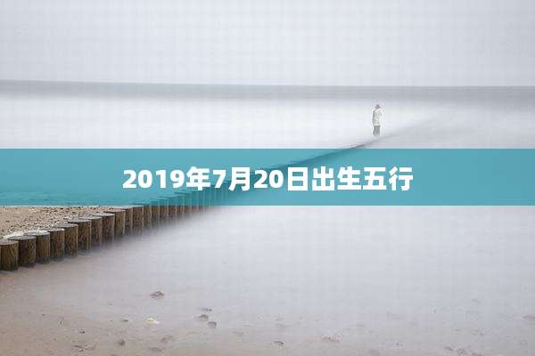 2019年7月20日出生五行