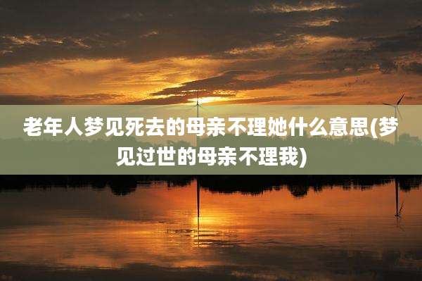 老年人梦见死去的母亲不理她什么意思(梦见过世的母亲不理我)