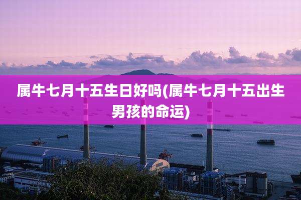 属牛七月十五生日好吗(属牛七月十五出生男孩的命运)