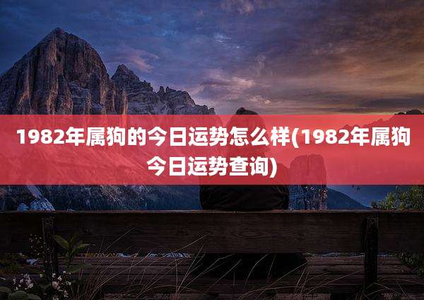 1982年属狗的今日运势怎么样(1982年属狗今日运势查询)