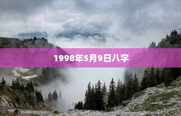 1998年5月9日八字
