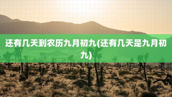 还有几天到农历九月初九(还有几天是九月初九)