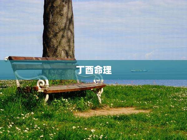 丁酉命理