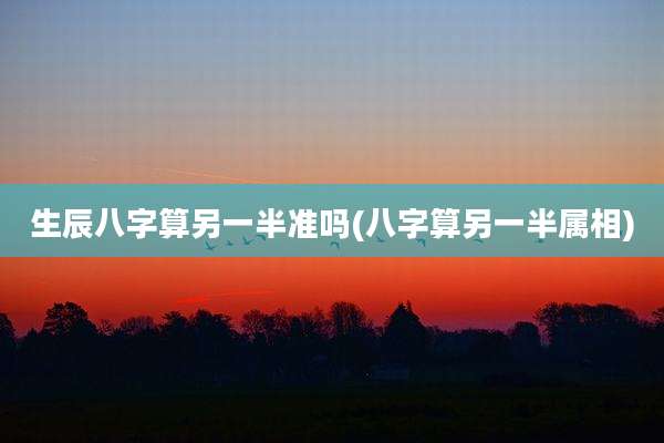 生辰八字算另一半准吗(八字算另一半属相)
