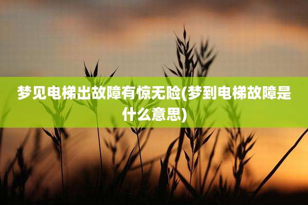 梦见电梯出故障有惊无险(梦到电梯故障是什么意思)