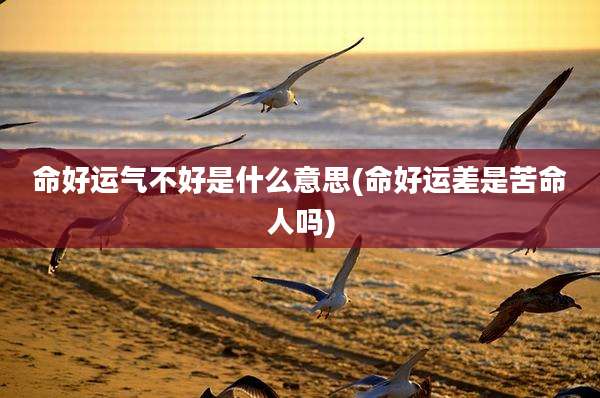 命好运气不好是什么意思(命好运差是苦命人吗)
