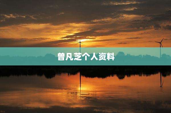 曾凡芝个人资料