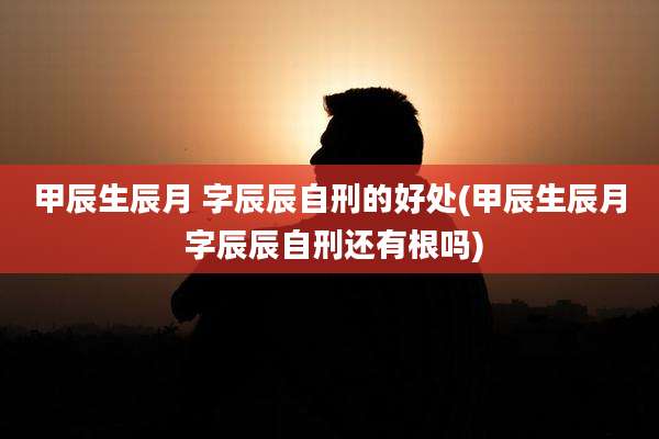 甲辰生辰月 字辰辰自刑的好处(甲辰生辰月 字辰辰自刑还有根吗)