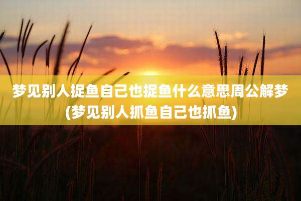 梦见别人捉鱼自己也捉鱼什么意思周公解梦(梦见别人抓鱼自己也抓鱼)