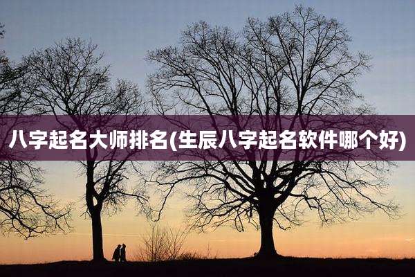 八字起名大师排名(生辰八字起名软件哪个好)
