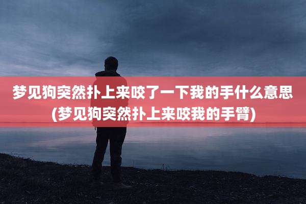 梦见狗突然扑上来咬了一下我的手什么意思(梦见狗突然扑上来咬我的手臂)