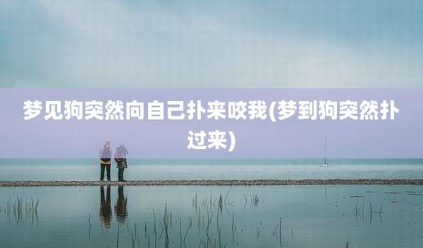 梦见狗突然向自己扑来咬我(梦到狗突然扑过来)
