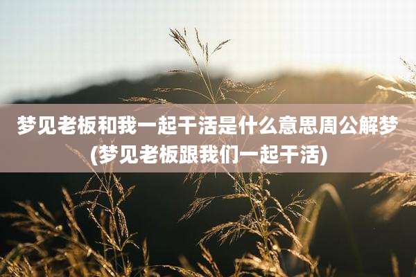 梦见老板和我一起干活是什么意思周公解梦(梦见老板跟我们一起干活)