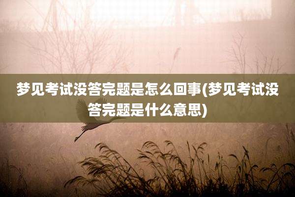梦见考试没答完题是怎么回事(梦见考试没答完题是什么意思)