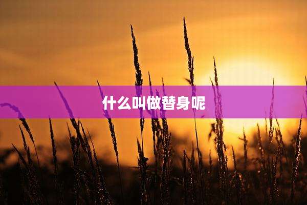 什么叫做替身呢