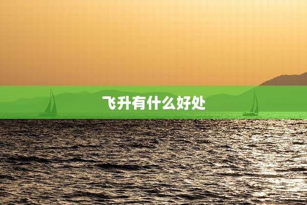 飞升有什么好处