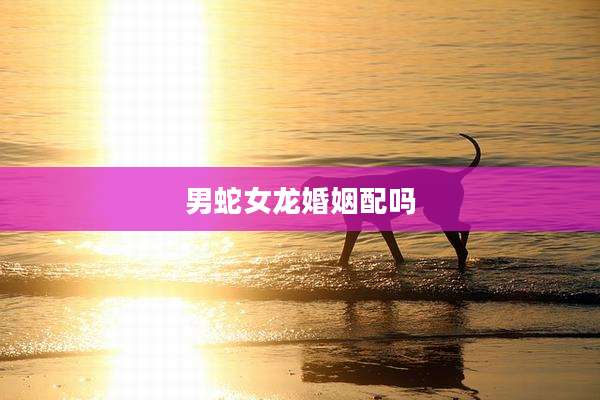 男蛇女龙婚姻配吗