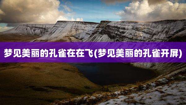 梦见美丽的孔雀在在飞(梦见美丽的孔雀开屏)