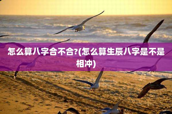 怎么算八字合不合?(怎么算生辰八字是不是相冲)
