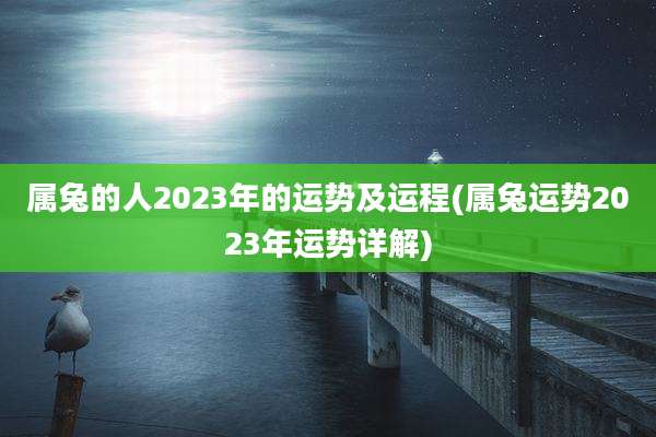 属兔的人2023年的运势及运程(属兔运势2023年运势详解)