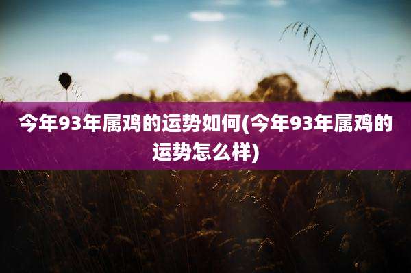 今年93年属鸡的运势如何(今年93年属鸡的运势怎么样)