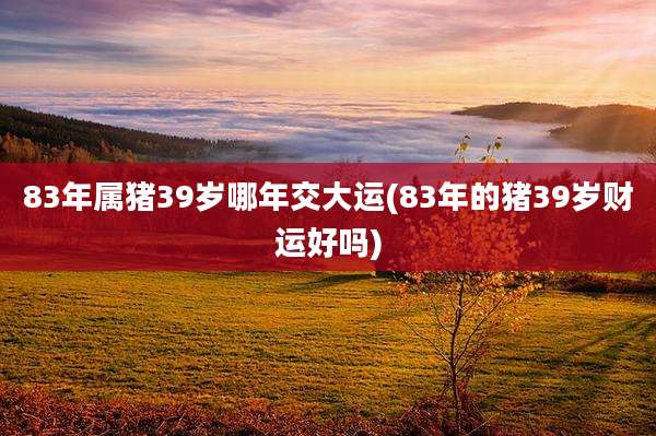 83年属猪39岁哪年交大运(83年的猪39岁财运好吗)