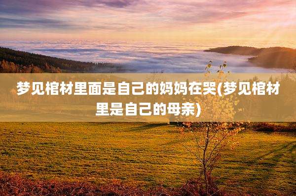 梦见棺材里面是自己的妈妈在哭(梦见棺材里是自己的母亲)