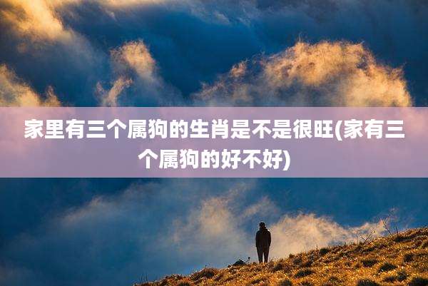 家里有三个属狗的生肖是不是很旺(家有三个属狗的好不好)