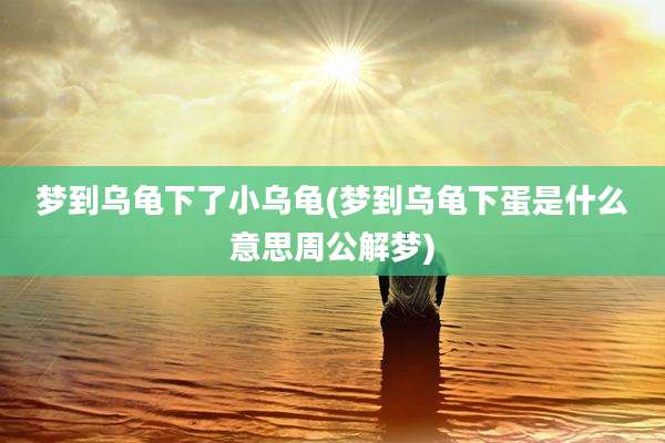 梦到乌龟下了小乌龟(梦到乌龟下蛋是什么意思周公解梦)