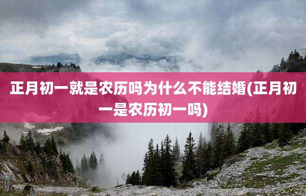 正月初一就是农历吗为什么不能结婚(正月初一是农历初一吗)