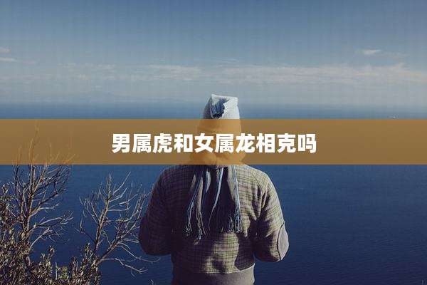 男属虎和女属龙相克吗