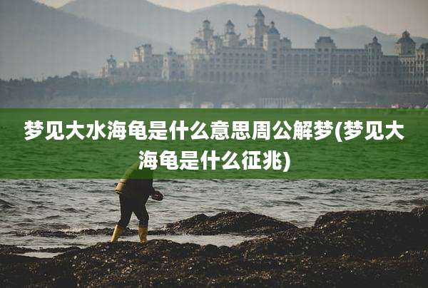 梦见大水海龟是什么意思周公解梦(梦见大海龟是什么征兆)