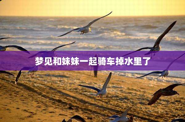 梦见和妹妹一起骑车掉水里了