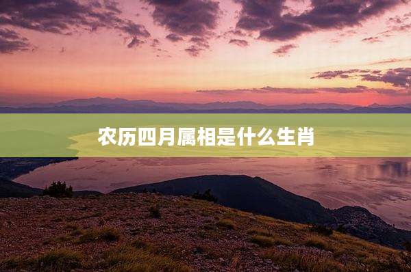 农历四月属相是什么生肖